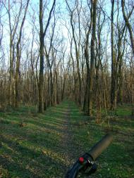 Любимівка з panoramio.com