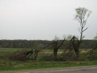 Підгайці з panoramio.com