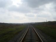 Вільхівчик з panoramio.com