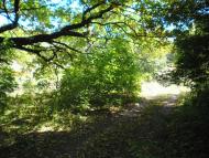 Никанорівка з panoramio.com