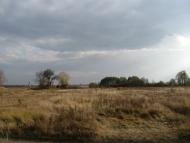 Шили з panoramio.com