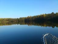 Линея з panoramio.com