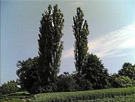 Лідава з panoramio.com