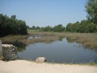 Поліське з panoramio.com