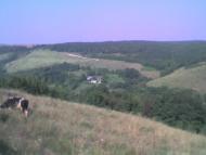 Золотогірка з panoramio.com