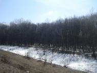 Новий Майдан з panoramio.com