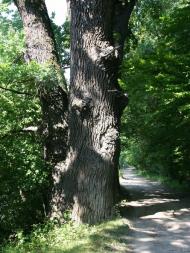 Юрківці з panoramio.com