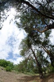 Черкаське з panoramio.com