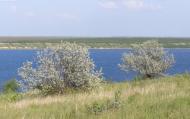 Широке з panoramio.com
