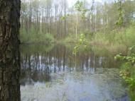 Радецька Болярка з panoramio.com