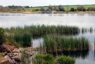 Балахівка з panoramio.com