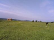 Блюдники з panoramio.com