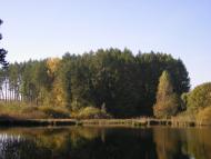 Піщатинці з panoramio.com