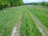 Павликівка з panoramio.com