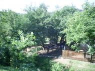 Сновидів з panoramio.com