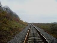 Кузьминчик з panoramio.com