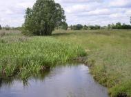 Дем'янці з panoramio.com