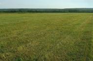 Райгородка з panoramio.com - Райгородка