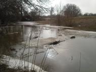 Дмитрівка з panoramio.com