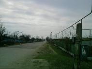 Ботанічне з panoramio.com