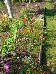 Смиківці з panoramio.com