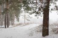 Червоний Донець з panoramio.com - Червоный Донец