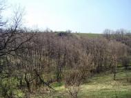 Ясенівський з panoramio.com