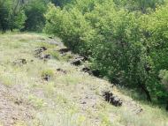 Княгинівка з panoramio.com