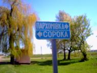 Сорока з panoramio.com