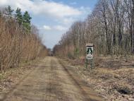 Бандурове з panoramio.com