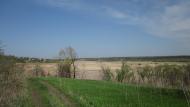Зеленівка з panoramio.com