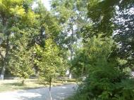 Фрунзівка з panoramio.com