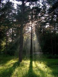 Углище з panoramio.com