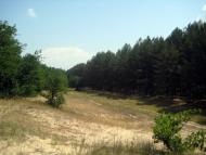 Нова Збур'ївка з panoramio.com