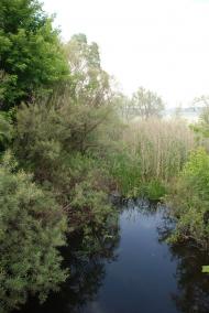 Пильна з panoramio.com