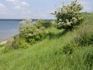 Широке з panoramio.com