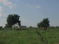 Воробіївка з panoramio.com