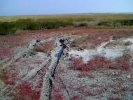 Сніжне з panoramio.com