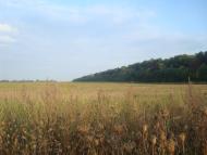 Колом'є з panoramio.com