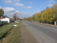 Маршинці з panoramio.com