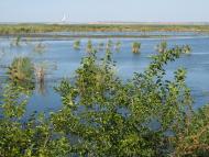 Нова Некрасівка з panoramio.com