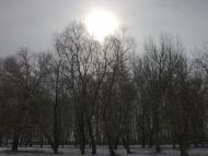 Купчичі з panoramio.com