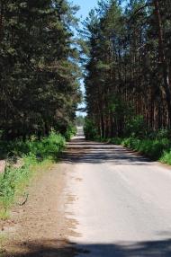 Рудневе з panoramio.com
