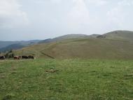 Ялинкувате з panoramio.com