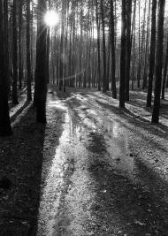 Червоний Донець з panoramio.com