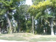 Фрунзівка з panoramio.com