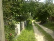 Лище з panoramio.com