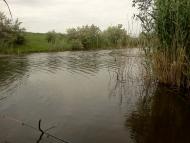 Павлівка з panoramio.com