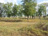 Прилиманське з panoramio.com