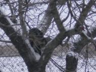 природа села